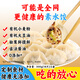 天悅名素【好吃到爆炸】菌鮮素餃子佛家純素水餃無五辛水餃煎餃早餐 2盒*300g（1盒18個餃子）