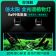尼特利 NETLEA7系水草筒燈太陽光譜超高顯指專業(yè)LED全光譜草缸原生溪流缸多肉燈 110W草缸變焦筒燈【語音+手機(jī)操控+氛圍燈】