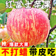 正宗煙臺(tái)紅富士蘋果水果新鮮應(yīng)當(dāng)季整箱脆甜一級(jí)包郵冰糖心平安果 凈重5斤中果【75-80mm】
