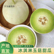 倘若冰淇淋玉菇甜瓜山東西白香瓜沙糯哈密吊瓜南匯莘特產(chǎn)新鮮水果 2-2.5斤【1個(gè)瓜】