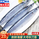 漁吻 秋刀魚新鮮冷凍 深海魚日式燒烤秋刀魚生鮮海鮮水產(chǎn) 超大號秋刀魚500g*4（16條）