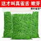 青針雀舌 春茶2025新茶雀舌翠芽茶葉正宗明前特級(jí)綠茶嫩芽濃香型茶葉 雀舌 全嫩芽 袋裝 250g*1袋