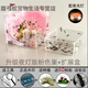 新型螞蟻工坊別墅家園螞蟻城堡生態(tài)箱學生蟻巢小寵物活體弓背蟻后 粉巢+60蟻+1蟻后+燈+擴展盒 (繁