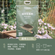 塔莎的花園營養(yǎng)土通用專用型盆栽種植繡球月季園藝種花土家用養(yǎng)花 15L通用型營養(yǎng)土 【疏松透氣】