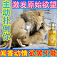 獨(dú)愛(ài)情侶約會(huì)持久荷爾蒙吸引性刺激男人費(fèi)洛佛羅蒙女士古龍異性香水 男士購(gòu)買(mǎi)調(diào)情強(qiáng)迷版持久淡香氛