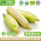 有機(jī)匯有機(jī)糯玉米 香甜軟糯煮食玉米 新鮮現(xiàn)摘 有機(jī)種植無農(nóng)殘 寶寶輔食 玉米5斤