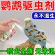HKML鸚鵡驅蟲(chóng)噴霧鳥(niǎo)用體外殺蟲(chóng)劑除羽虱螨蟲(chóng)去異味掉毛啄毛專(zhuān)用一噴凈 1瓶裝【體外驅蟲(chóng)】一噴靈