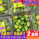 儲褚網(wǎng)紅迷你拇指小西瓜  新鮮水果 不常見稀奇水果現(xiàn)摘整箱包郵 125g*1盒【迷你拇指小西瓜】