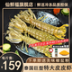 仙鮮福泰國超大皮皮蝦生凍 巨型瀨尿蝦 特大蝦爬子 富貴蝦姑海鮮大蝦 1000g（4-6只全肉蝦）