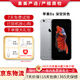 Apple iPhone 蘋(píng)果6s/6sPlus 蘋(píng)果6s二手手機(jī) 備用機(jī)學(xué)生老年工作拍照全網(wǎng)通 蘋(píng)果6s 深灰色 64G【更換100%品牌電池】+【充電器套裝】 9成新