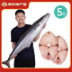 海藍(lán)廚房 冰鮮馬鮫魚2-5斤 整條切片 海南深海冷凍馬鮫魚中段 馬鮫魚中段5斤