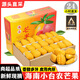譯優(yōu)農海南芒果小臺農芒果 應季水果甜心芒現摘熱帶芒果 5斤精品大果