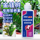 貝意品金錢(qián)樹(shù)專(zhuān)用營(yíng)養液綠植花卉盆栽植物發(fā)財樹(shù)防黃葉生根通用型肥料