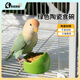 高能鸚鵡鸚鵡陶瓷食碗幼鳥(niǎo)學(xué)吃防濺防撒鳥(niǎo)食罐食盒玄鳳防打翻鳥(niǎo)籠配件用品 小號綠色陶瓷食碗