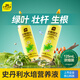 史丹利水培植物營(yíng)養(yǎng)液富貴竹專用郁金香水仙花室內(nèi)盆栽通用型肥料 水培植物營(yíng)養(yǎng)液125ml 史丹利榮譽(yù)出品