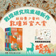 少年游·敦煌（敦煌研究院獻(xiàn)給青少年的敦煌石窟大賞！將莫高窟隨身攜帶，隨時(shí)云游1600歲的寶庫(kù)）(