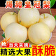 果迎鮮皇冠梨 河北皇冠梨 梨子 脆梨酥梨 新鮮水果 生鮮 凈果4.5斤帶箱5斤裝