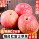 蘋果紅富士山東煙臺冰糖心脆甜 孕婦水果新鮮應(yīng)季禮品整箱 凈重4.5斤裝中果(75-80mm以上) 30年老樹果-口感更佳