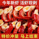蝦尾冷凍生批發(fā)整箱10斤 現剝小龍蝦尾無(wú)冰特大蝦球鮮活冷凍 方便 5斤5袋【約80粒/斤】無(wú)冰 送料包