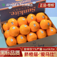 山姆伯伯 黑標橙10斤新鮮橙子臍橙進口特大果3107橙原箱 【大果】200-250g 【80%人選-巨劃算】凈重5斤