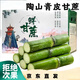 京鮮氣陶山甘蔗新鮮當季青皮陶山甘蔗當季特產(chǎn)綠皮甘蔗脆皮甘蔗整箱切斷 精選甘蔗5斤 普通裝