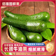 進(jìn)口長(zhǎng)條牛油果鱷梨稀有品種熱帶水果時(shí)令新鮮孕婦水果寶寶輔食 1斤-單果150-500g-順豐-含箱 新鮮速發(fā)