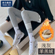 棉致春秋季新款鯊魚褲打底褲女外穿不起球提臀緊身高 羊羔絨淺灰 加厚 均碼 小碼【75-115斤穿】