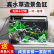 西游水族魚缸水族箱客廳小型迷你桌面免換水生態(tài)造景小金魚缸熱彎超白玻璃 長50*寬26*高30-水秀青山款造景全套