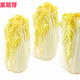 京地達山東新鮮黃心娃娃菜【四袋】一袋凈重500g+火鍋食材 源頭直發(fā)包郵