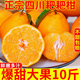 四川特級(jí)春見耙耙柑橘子甜當(dāng)季整箱新鮮水果丑柑桔孕婦多地次日達(dá) 甄選果3斤裝【凈重2.5斤】