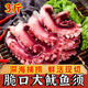 昕品方鮮活大魷魚(yú)須脆口魷魚(yú)須海鮮生鮮冷凍火鍋燒烤食材新熟凍大八爪魚(yú) 脆口魷魚(yú)須3斤裝 1千克(凈重)