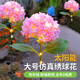 樂卡利太陽能繡球花燈戶外庭院裝飾燈草坪燈地插景觀LED氛圍燈仿真造景 太陽能繡球花燈【粉色  高73cm】