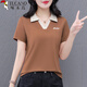 啄木鳥(niǎo)短袖T恤女polo衫2025夏季正肩顯瘦翻領(lǐng)透氣運(yùn)動(dòng)半袖上衣 咖色 3XL