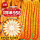 北蔬玉米種子產(chǎn)高矮大棒抗旱抗倒鄭單958國(guó)審官方正品飼料四川雜交 鄭單958玉米種子 共4斤（1畝地）