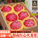 憶京源正宗海南金都一號(hào)紅心火龍果 應(yīng)季紅肉超甜皮薄蜜寶新鮮孕婦水果 5斤精選中果【單果250g+】 【現(xiàn)摘當(dāng)天發(fā)貨】