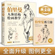 美學(xué)大師 黃金版伯里曼人體結(jié)構(gòu)繪畫(huà)教學(xué) 人物速寫(xiě)入門(mén)基礎(chǔ)繪畫(huà)臨摹書(shū)籍