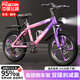 飛鴿兒童自行車(chē)中大童男女孩6-10-12-17歲碟剎減震青少年學(xué)生越野山地 【幻彩紫】 7級(jí)變速/碟剎五刀輪 20寸【身高125-145cm】約9-12歲
