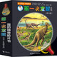 第一次發(fā)現(xiàn)·手電筒（套裝共10冊）  