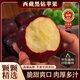 黑鉆蘋(píng)果西藏黑磚蘋(píng)果新鮮高原林芝蘋(píng)果棲霞紅富士大寧寧脆蘋(píng)果 70-85mm12顆豪華裝禮盒