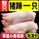 順豐現(xiàn)殺土豬蹄10只帶筋整只新鮮農(nóng)家小香豬散養(yǎng)豬手豬腳前蹄后蹄 小香豬蹄1只【冷鏈發(fā)貨】
