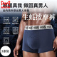 貓人 MIIOW男士?jì)妊澕兠匏慕茄?0A抑菌生蠔素按摩物理顆粒負氧離子平角褲衩生蠔素提睪丸【全褲10A級抗菌】 3條3XL 150-170斤(生蠔素力量源泉