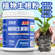 貝意品強力生根粉通用樹(shù)木移栽壯苗種植生根劑植物扦插苗木水溶肥500g 