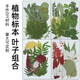 MODX干花書(shū)簽手工diy材料透明標本瓶子里的春天自制壓花植物花小學(xué)生流蘇 DIY彩色真樹(shù)葉 隨機一款