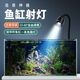boxtech魚(yú)缸射燈南美造景迷你射燈溪流缸小型魚(yú)缸燈led燈 三色可調小射燈 3W黃白三色-旋鈕款可夾1.9cm玻璃