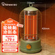 賽億 SHINEE 取暖器家用電暖器電暖氣節能速熱小太陽(yáng)復古鳥(niǎo)籠電暖氣烤火爐多檔調節 NL60 兩檔調溫-復古綠鳥(niǎo)籠