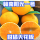 璐璐阿美正宗贛南陽光一號(hào)桔柚高山橘柚新鮮皮薄爆汁脆嫩甜手剝柑橘天花板 帶箱10斤禮品果