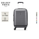 DELSEY法國戴樂(lè )世拉桿箱20英寸萬(wàn)向輪行李箱2058大使登機箱男女通用箱子 灰色 20英寸 【前置口袋 可擴容】