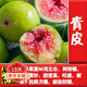 歐悟無(wú)花果樹(shù)苗高產(chǎn)水果苗特大無(wú)花果苗南北方陽(yáng)臺(tái)種植盆栽地栽果樹(shù)苗 青皮6年苗【當(dāng)年結(jié)果】 60cm(含)-165cm(不含)