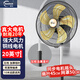 皓彩（haoluck） 工業(yè)風(fēng)扇超大風(fēng)力大號(hào)豪華落地扇強(qiáng)力牛角扇立式商用商務(wù)搖頭電風(fēng)扇大功率工廠工業(yè)扇車間家用 【同步電機(jī)搖頭】20英寸五檔 鋁5葉銅線電機(jī)粗直桿