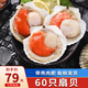 海宏盈青島扇貝 1500g 鮮活急凍帶殼大扇貝蒜蓉粉絲扇貝半殼貝類海鮮 大規(guī)格扇貝6-7厘米60只